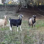 Agriturismo Poponi