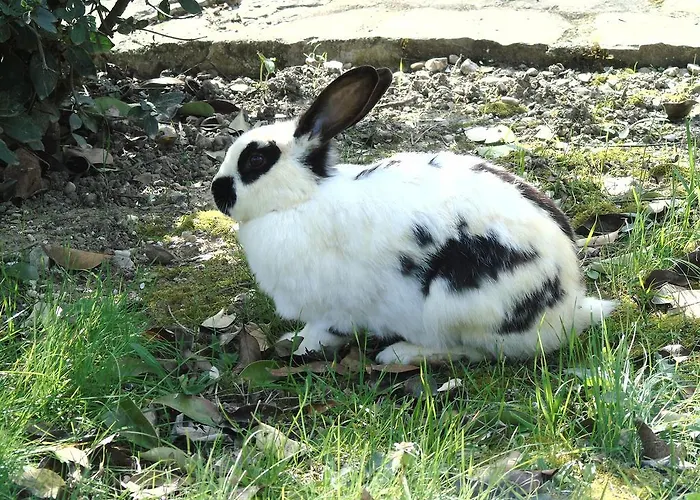 Bauernhof Agriturismo Poponi Todi